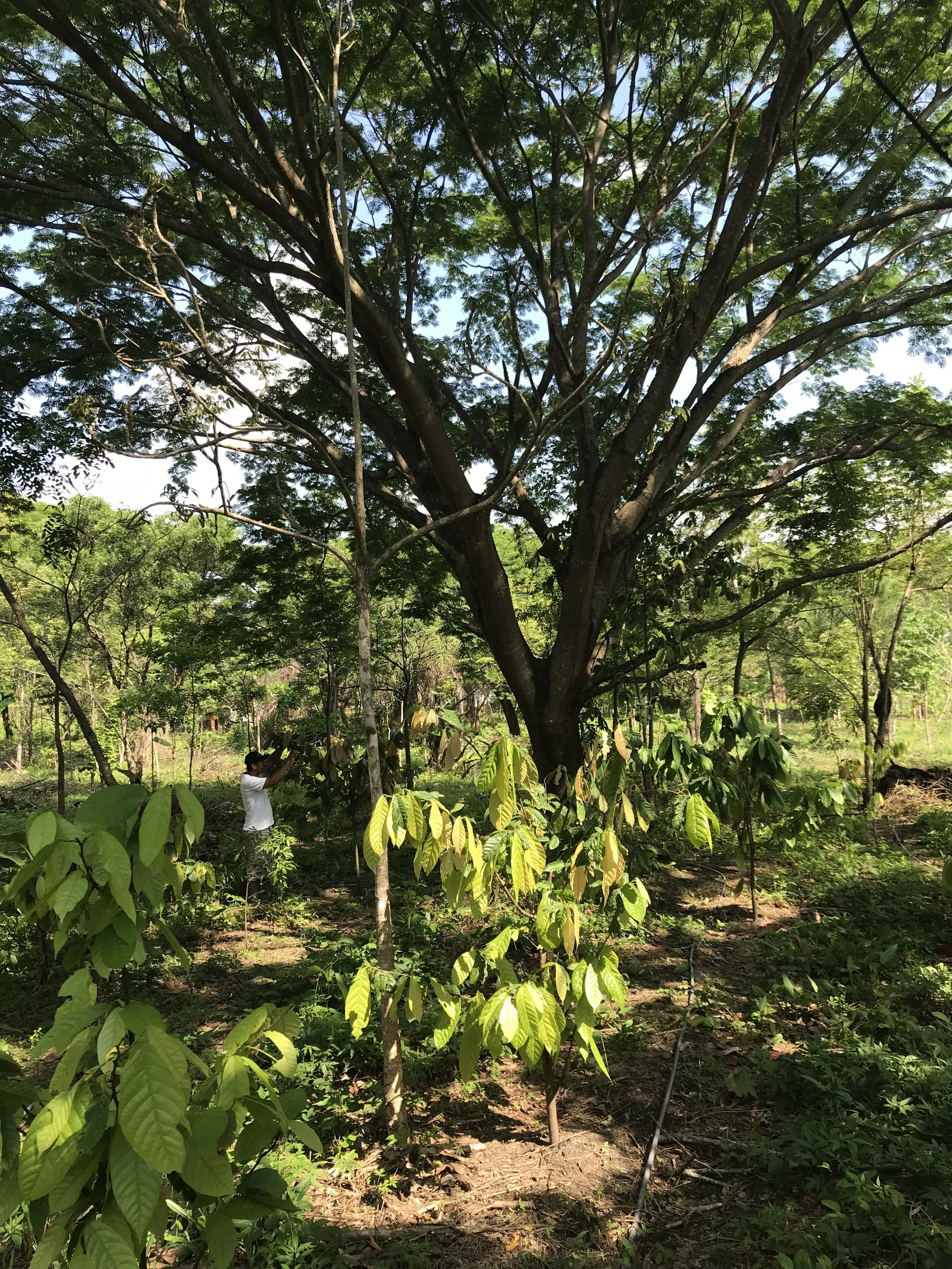 Around the property