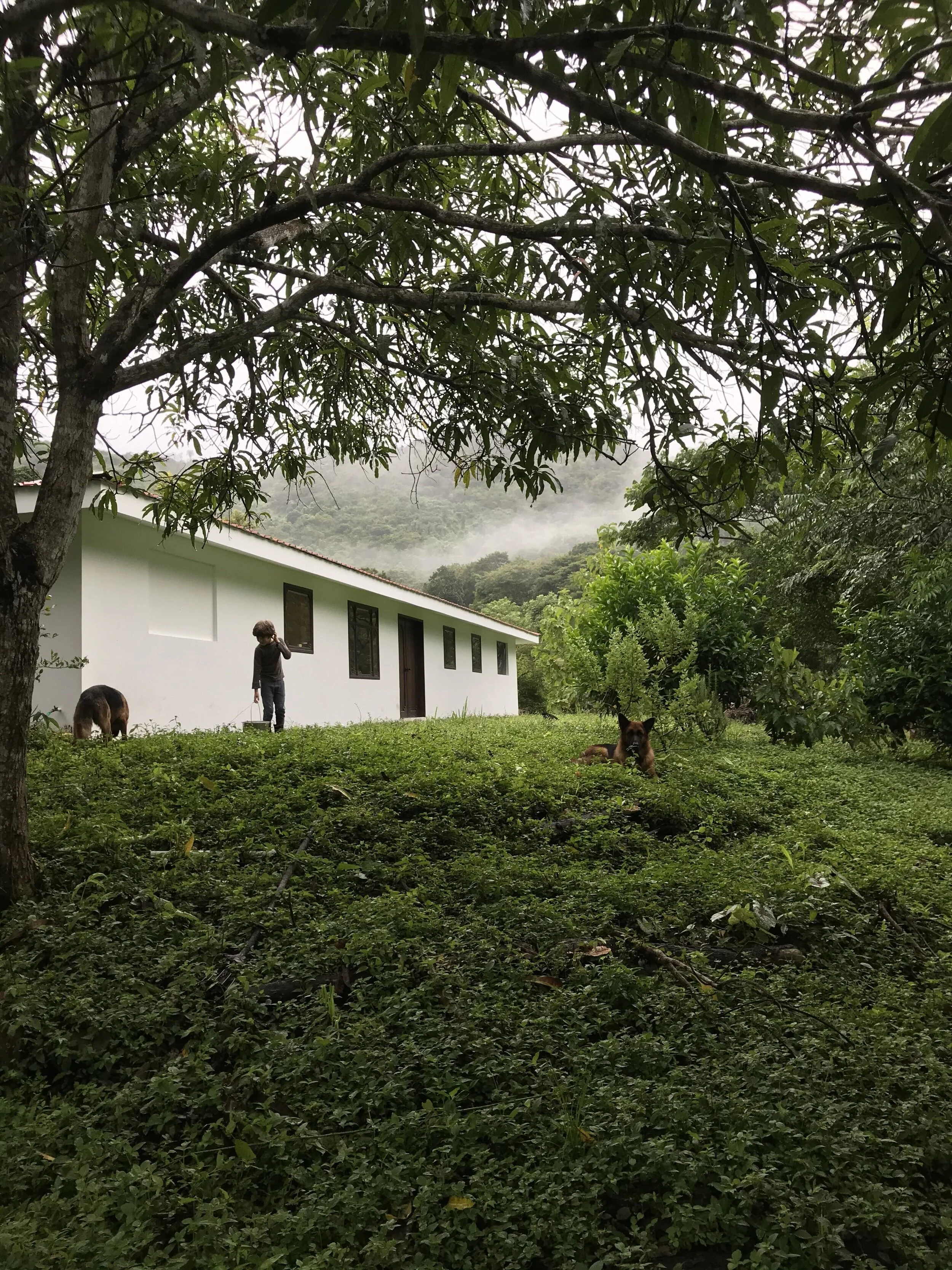 Around the property