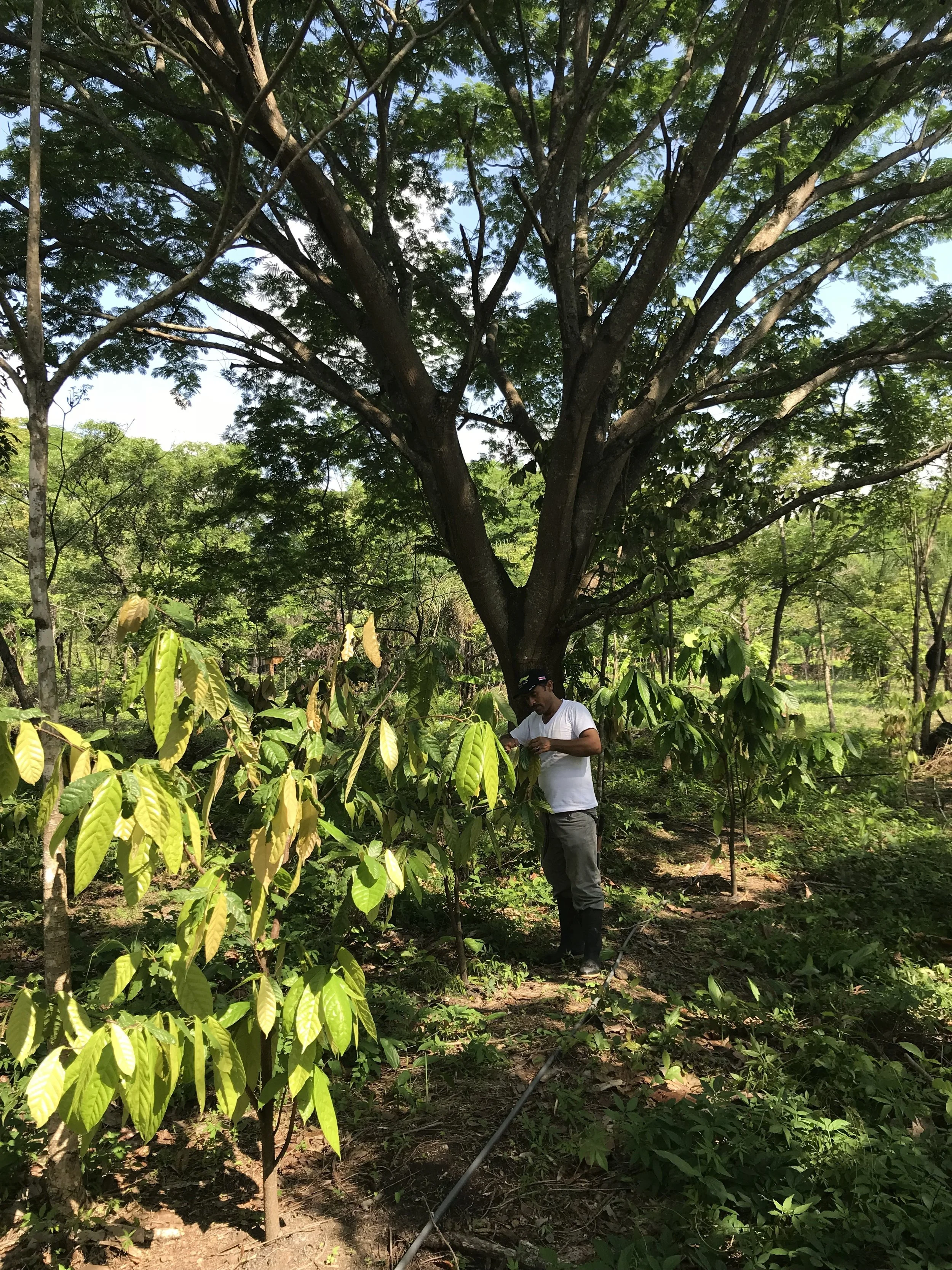 Around the property